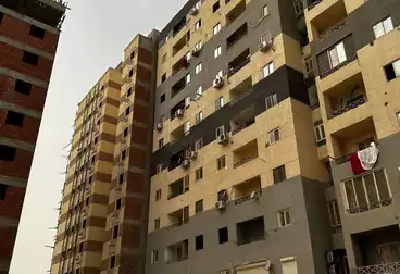 شقق للبيع - 3 غرف - بالدور 6