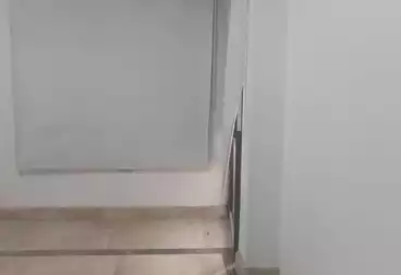 طبي للإيجار - بالدور 7