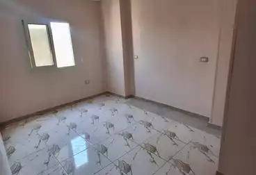 شقق للإيجار - 3 غرف - بالدور 6