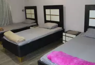 عقارات للإيجار - 3 غرف - بالدور 9