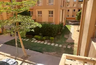 شقق للبيع - 2 غرف - بالدور 1