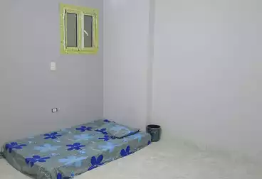 عقارات للإيجار - 3 غرف - بالدور 2