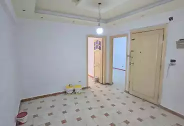 شقق للبيع - 3 غرف - بالدور 4