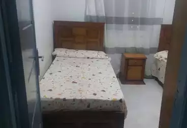 عقارات للإيجار - 2 غرف - بالدور 4