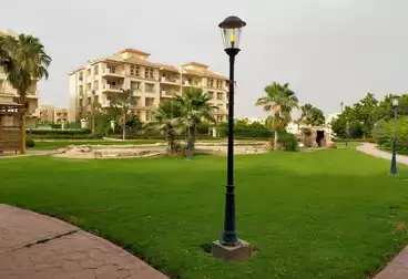 عقارات للإيجار - 3 غرف - بالدور 3