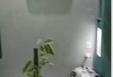 Administrative For rent - 3 rooms - floor 1