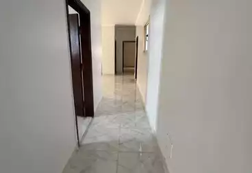 شقق للإيجار - 3 غرف - بالدور 2