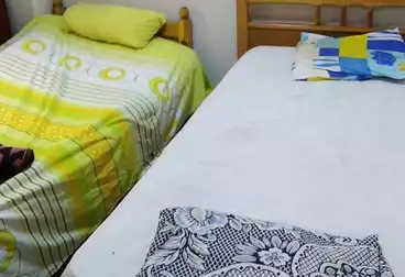 Properties For rent - 3 rooms - floor 2