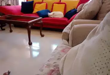 undefined undefined - 3 rooms - floor 0