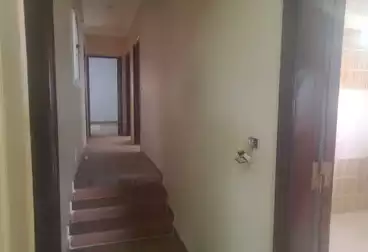 Apartments For rent - 3 rooms - floor 1