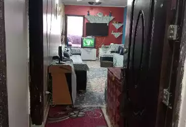 شقق للبيع - 3 غرف - بالدور 10