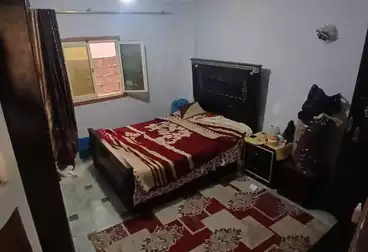 شقق للبيع - 3 غرف - بالدور 6