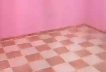 Apartments For rent - 3 rooms - floor 2