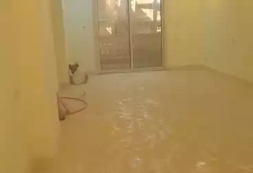 Offices For rent - 3 rooms - floor 1