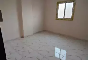 شقق للإيجار - 3 غرف - بالدور 10