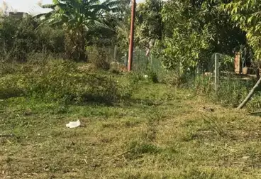 أراضي للبيع