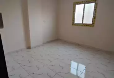 شقق للإيجار - 3 غرف - بالدور 10