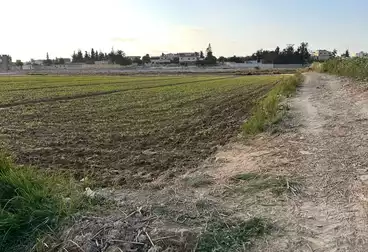 عقارات للبيع