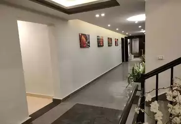 Apartments For sale - 3 rooms - floor 1