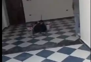 undefined undefined - 2 rooms - floor 3