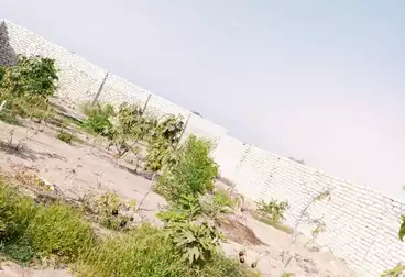 Farm For sale