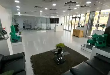 إداري للإيجار - بالدور 0