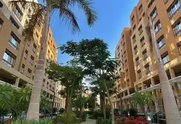 شقق للبيع - 2 غرف - بالدور 1