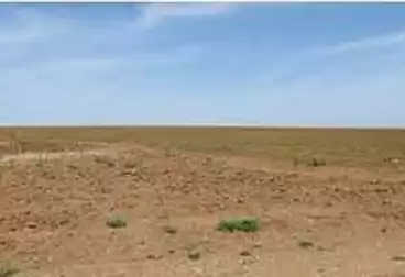 أراضي للإيجار
