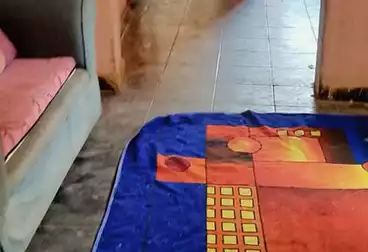 Apartments For sale - 4 rooms - floor 5