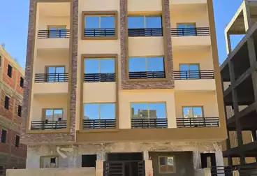 شقق للبيع - 3 غرف - بالدور 0
