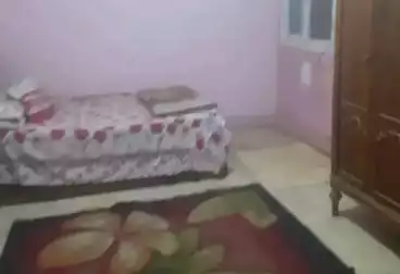شقق مفروشة للإيجار - 2 غرف - بالدور 3