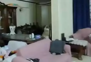 undefined undefined - 3 rooms - floor 3