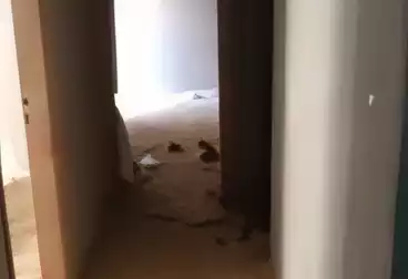 Apartments For sale - 3 rooms - floor 5