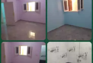 undefined undefined - 3 rooms - floor 2
