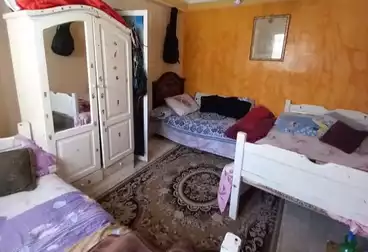 undefined undefined - 2 rooms - floor 1