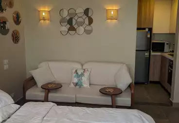 Apartments For rent - 1 rooms - floor 4