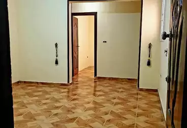 Properties For rent - 3 rooms - floor 7