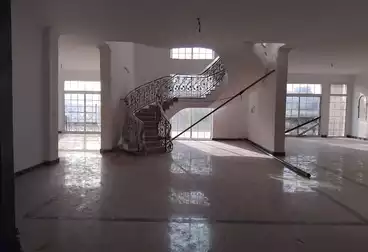 فلل للإيجار - 5 غرف