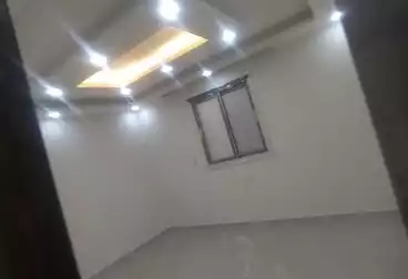 شقق للإيجار - 3 غرف - بالدور 0