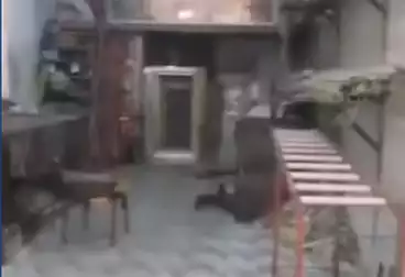 Commercial For sale - floor 0