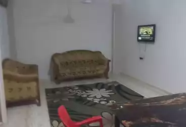 Properties For rent - 2 rooms - floor 6