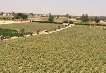 Separate Villa For sale - 4 rooms