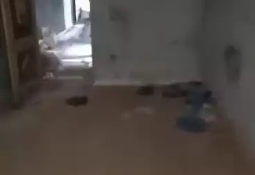 undefined undefined - 2 rooms - floor 7