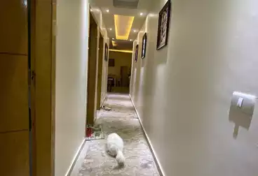 Apartments For sale - 3 rooms - floor 0