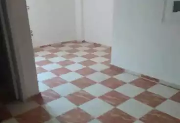 Apartments For rent - 2 rooms - floor 3