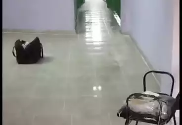 Apartments For rent - 3 rooms - floor 7