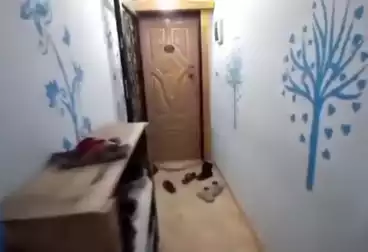 شقق للبيع - 3 غرف - بالدور 7