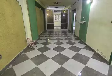 Apartments For rent - 2 rooms - floor 4