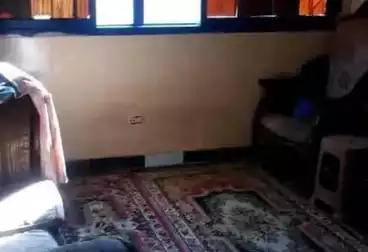Properties For rent - 1 rooms - floor 7