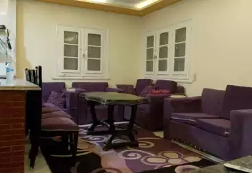 شقق مفروشة للإيجار - 2 غرف - بالدور 4